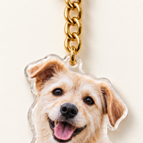 Macro detail of glossy contour-cut dog photo charm and gold chain
