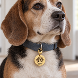 Custom Portrait Pet Tag close lifestyle photo - gold ARCHIE tag on senior beagle collar Anthology Jewelry